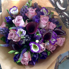 Mandy's Purple Prince