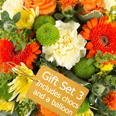 Gift Set 3 - Florist Choice Vase Arrangement