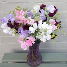 Scented Sweet Peas Vase